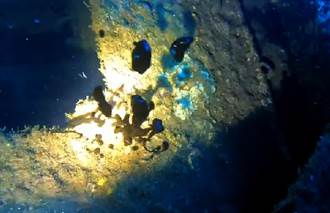 影》蘭嶼八代灣貨輪沉船39年鏽蝕漏油 海底冒黑泡畫面曝