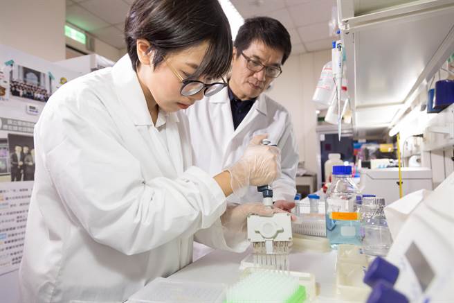 暨南大学与东海大学的研究团队发现，果蝇基因缺失会造成同性求偶行为。（暨南大学提供／林志成台北传真）