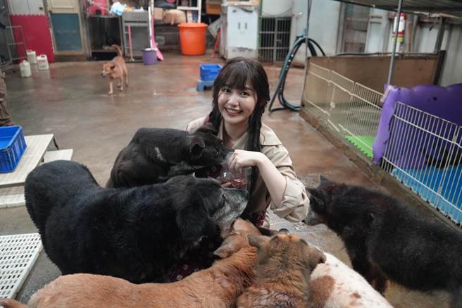 琳誼日前到流浪動物之家餵毛小孩 呼籲粉絲一起做公益。（相映國際提供）