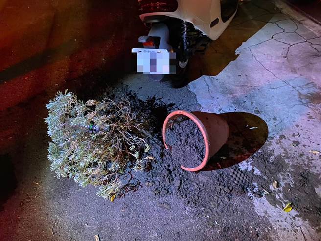 林男和连男疑酒后因一场债务纠纷大打出手，不但花盆被砸落，连纱窗都被损毁。（民眾提供／冯惠宜台中传真）