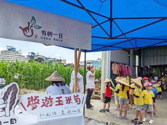 「梦游玉米笋」活动让民眾进入田区实际了解，理解务农的辛苦，更能明白人跟土地的关系。（云林县府提供）