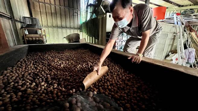 73岁家住台南市东山区东原里的果农叶再哲，遵循土窑烘制龙眼乾的古法已经30年。（张毓翎摄）