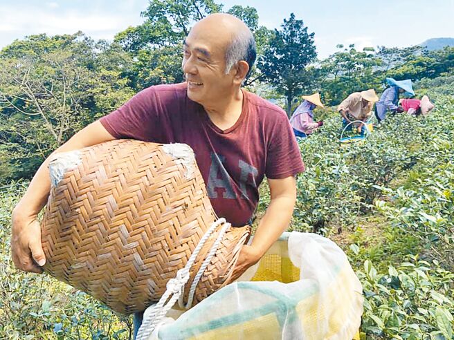 「威叔茶庄」主人陈威志是少数坚持古法制作正欉铁观音的茶农，他形容铁观音如同他的爱人，可以说跟太太是并驾齐驱。（摘自威叔茶庄脸书粉丝专页）