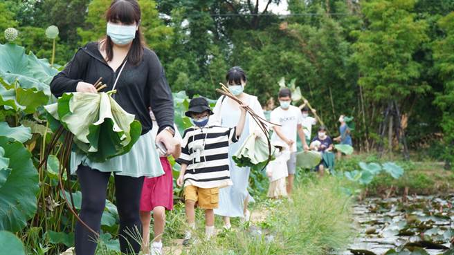 观音莲花园休閒农业区盼延续观光能量，将在秋季举办万圣南瓜节系列活动。（农业局提供／蔡明亘桃园传真）