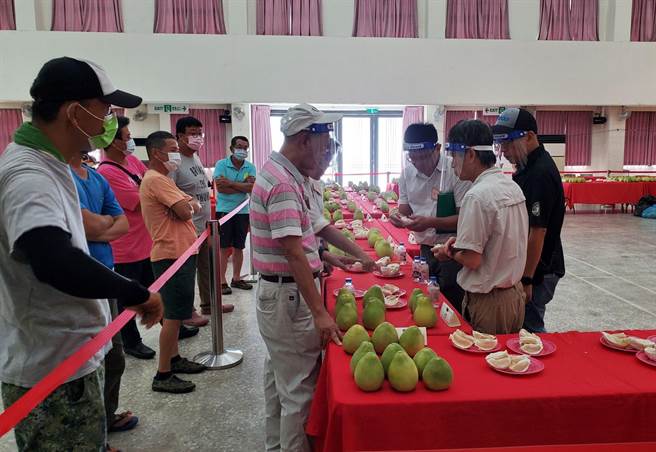 斗六文旦今（30日）舉行評鑑，許多果農到場關切。（周麗蘭攝）