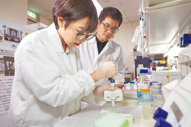 暨南大学与东海大学的研究团队发现，果蝇基因缺失会造成雄蝇同性求偶行为。（暨南大学提供／林志成台北传真）