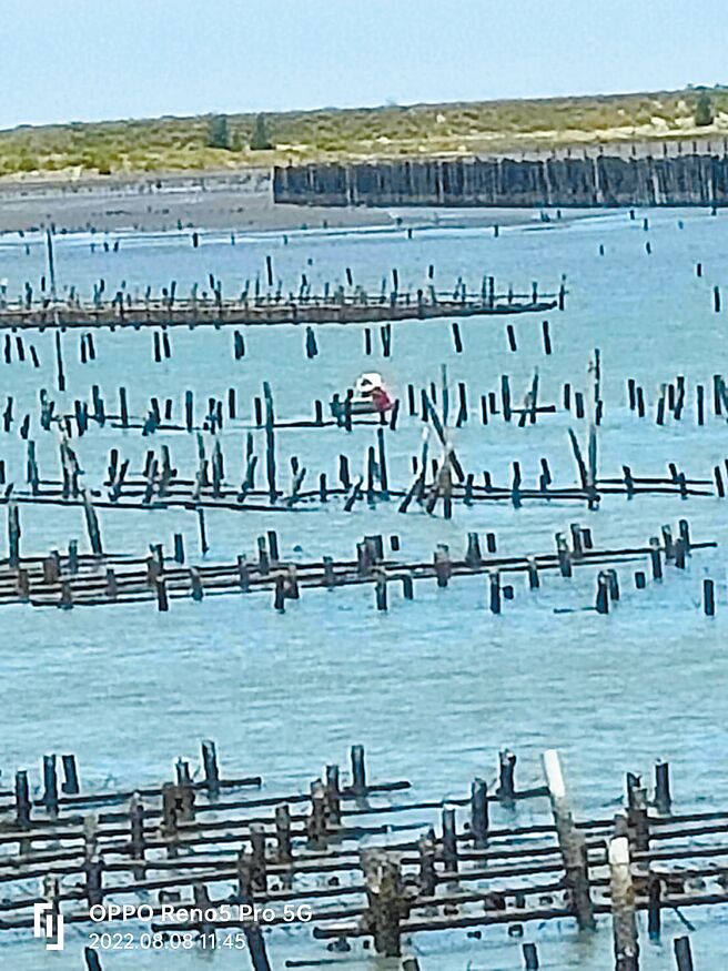 警方接获通知有人偷蚵，立即前往岸旁拍照搜证。（佳里分局提供／李俊淇台南传真）