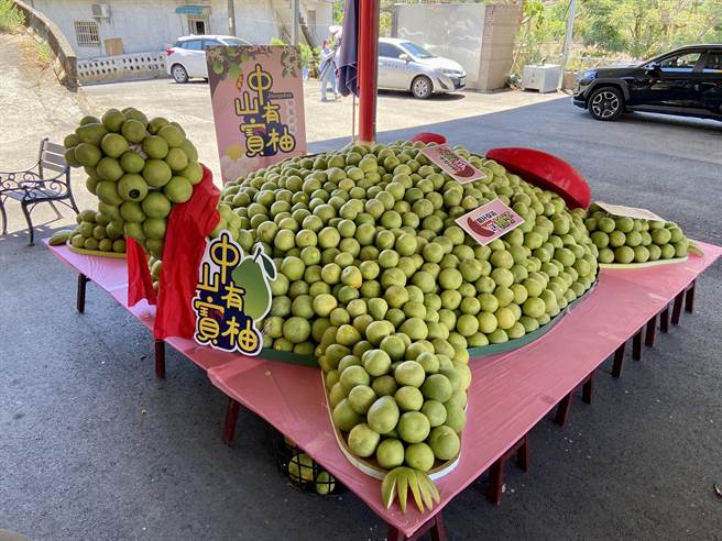 今年柚龟使用6600颗柚子，约6000斤重堆迭成的。（吴佩蓉摄）