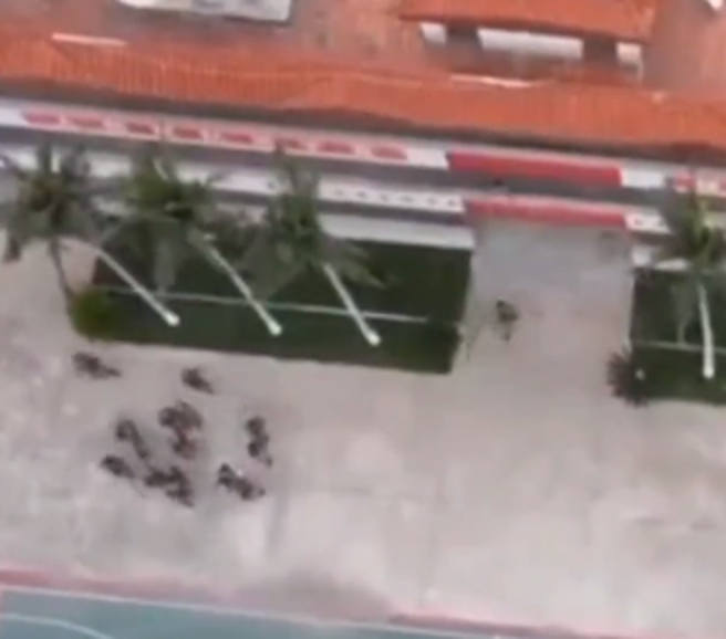 网路上传出有疑似我方民间无人机，飞至大陆角屿上空，清楚拍摄到共军官兵。（取自推特影片）