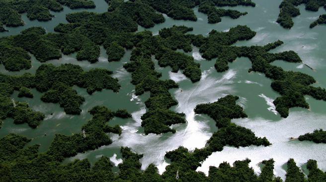 齊柏林導演作品「烏山頭水庫」（看見．齊柏林基金會提供）