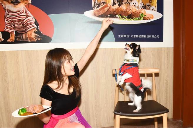 王宥忻今带爱犬「乔登」出席活动。（沛思特Petstar提供）