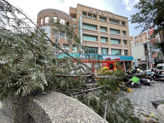 「軒嵐諾」颱風襲台全台有感，昨天下午開始各地颳起強風，彰化市區不斷傳出路樹倒塌意外，甚至還有路人被壓傷。（民眾提供／吳建輝彰化傳真）
