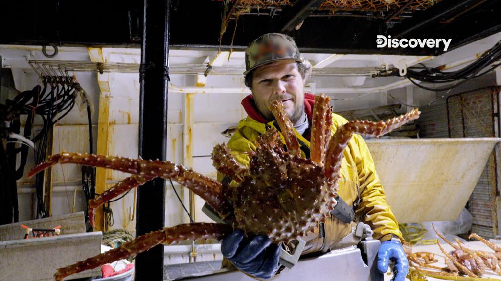 帝王蟹是阿拉斯加漁民賴以為生的漁獲。（Discovery提供）