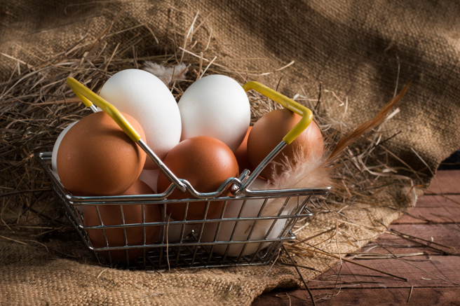 現在早餐店「加蛋要15元」，物價上漲讓網友崩潰喊：未來恐回不去了。（示意圖／Shutterstock）
