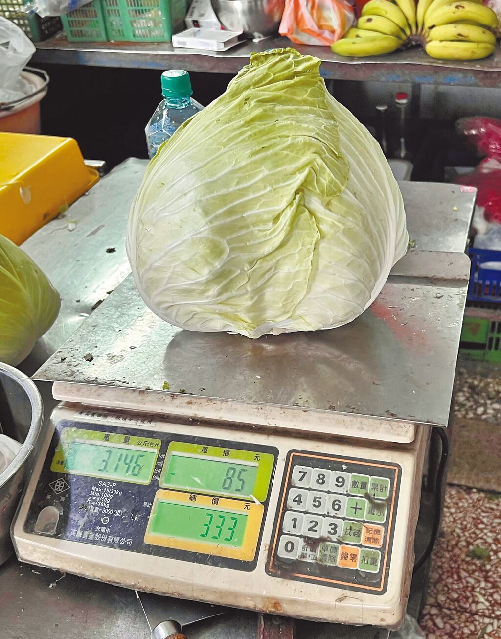 軒嵐諾颱風來襲，台南市學甲區傳統市場菜販拿出一顆高山高麗菜，要價333元。（張毓翎攝）