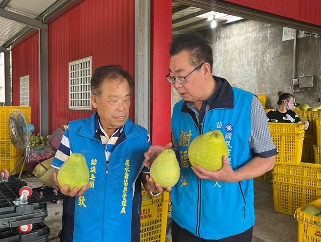 谢福弘今天抛出农业政见。（谢福弘竞选团队提供／李京升苗栗传真）