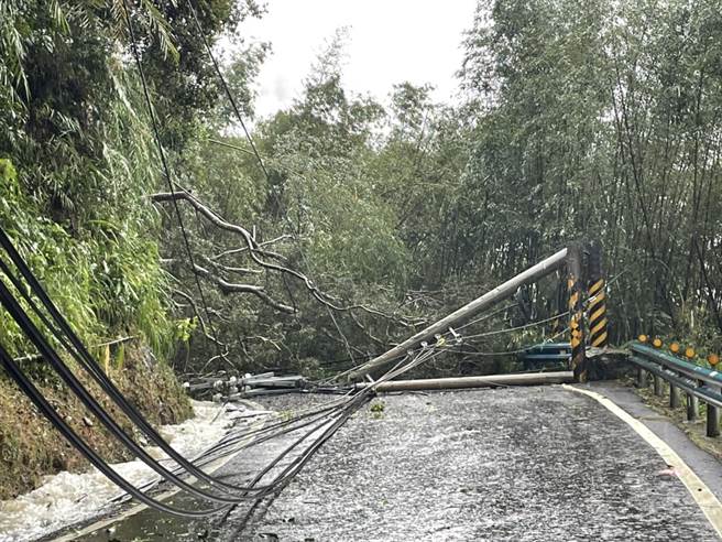 风雨至土质松动让树木倒塌，压倒高压电杆，尖石1600户停电，台电抢修中。（台电提供／邱立雅竹县传真）