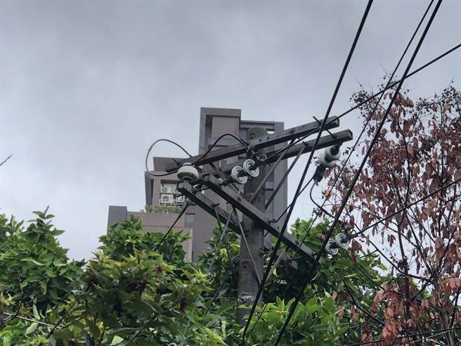 多处树木断落导致供电设备损坏，台电派员全力抢修。（台电台北南区营业处提供）