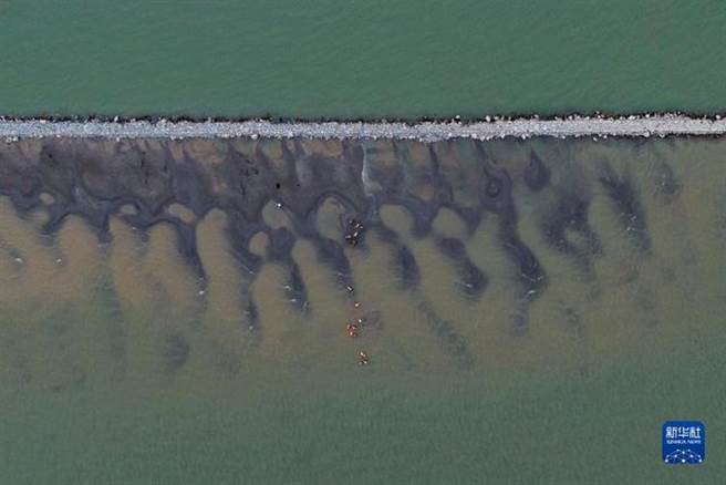 近日，长江武汉段露出一条江心小道。（图／新华社）