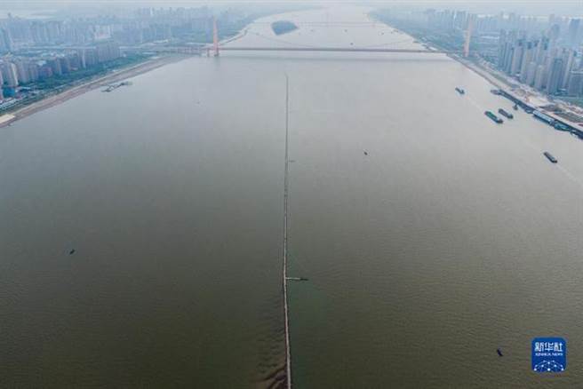 近日，长江武汉段露出一条江心小道。（图／新华社）