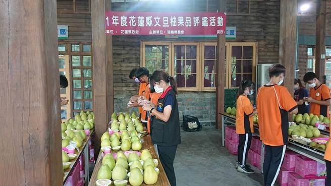 花蓮縣政府啟動系列活動行銷文旦柚，也將向中央爭取補助宅配運費，鼓勵農民自產自銷，增進收益和穩定發展銷售市場。（花蓮縣政府提供／羅亦晽花蓮傳真）