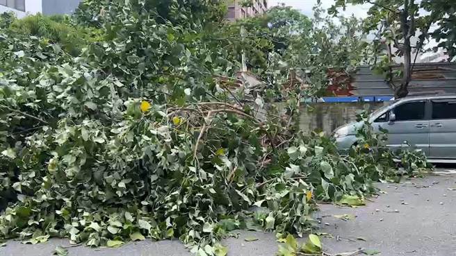 强颱轩岚诺来袭，台东瞬间风力达8级。（蔡旻妤摄）