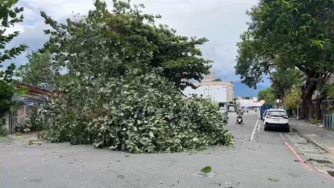 强颱轩岚诺来袭，台东瞬间风力达8级。（蔡旻妤摄）
