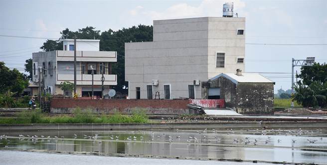 南台湾一年一度的候鸟季已揭开序幕，云嘉南管理处欢迎民眾来到云嘉南，一起迎接每年到访度冬的候鸟娇客。（云嘉南管理处提供／张毓翎台南传真）
