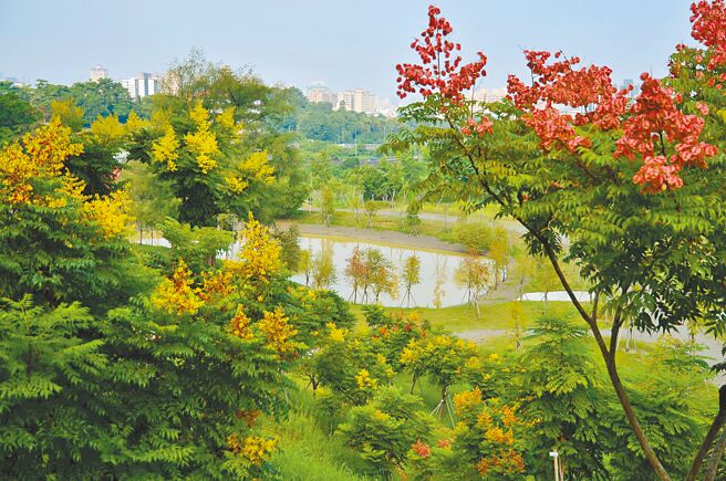 高市府工务局养护工程处辟建的金澄双湖森林公园，荣获内政部营建署「2021致敬城乡魅力大赏」、「城乡魅力赏」肯定。该公园未来将作为环境文化教学空间，强化空间与人文歷史的连结。（高市工务局提供／袁庭尧高雄传真）