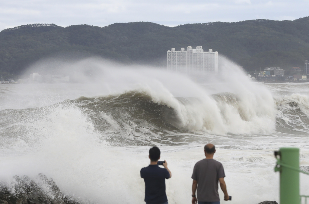 第11号台风于今天6凌晨登陆韩国南部沿海，滞留2.5小时后旋风过境。图/美联社(photo:ChinaTimes)