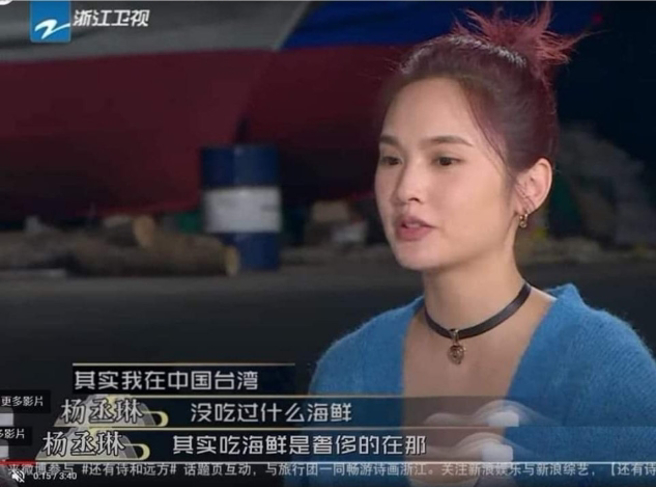 杨丞琳一句话引起争议。（图/微博）