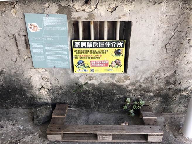 海洋委员会海洋保育署为守护寄居蟹，与宜兰县无尾港文教促进会、台东县自然与人文学会设置「房屋仲介所」。（海保署提供／林瑞益高雄传真）