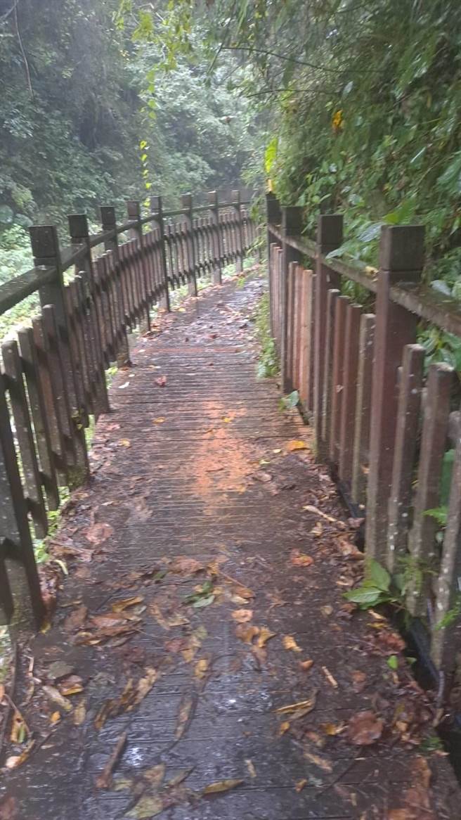 新竹县尖石乡老鹰溪步道一周前因连日大雨土石崩落损毁，目前已整修完毕开放。（新竹县府提供／邱立雅竹县传真）