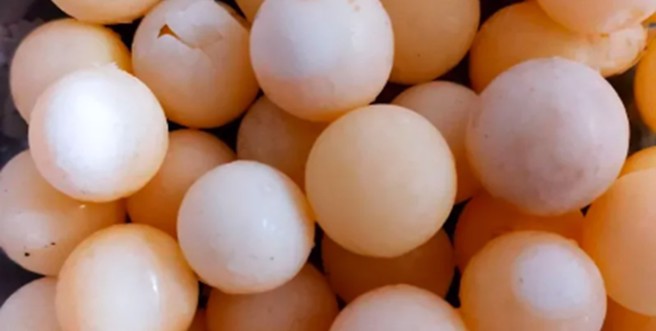 网友分享邻居送的食材，但因为不晓得该如何料理，只好上网请益。（图／翻摄自爆怨公社）
