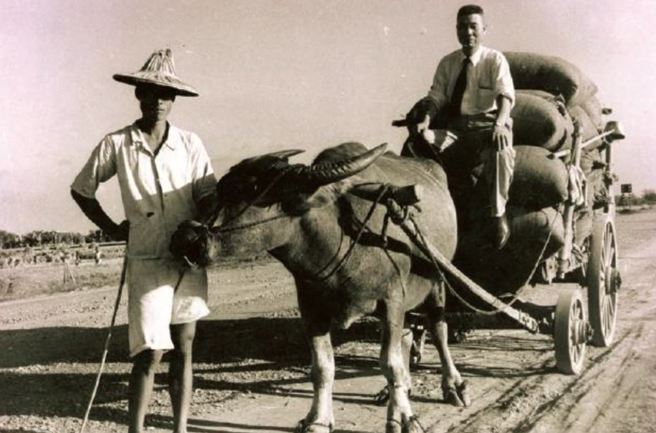 横跨日治、民国两个时代的农粮菁英李连春。李连春台南后壁人，是一个典型日治时期的专业精英，笃行笃实。光復后（1946）开始担任粮食局长，前后计达24年，是战后稳定台湾粮食生产及供应的重要推手。（台北粮食协进会农业知识入口网；作者炳文提供）