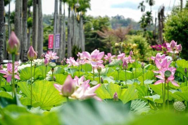 IG@auroralin_photography（图／ReadyGo提供）