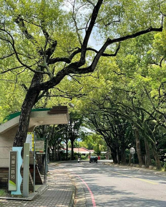 IG@chia_hsing1970（图／ReadyGo提供）