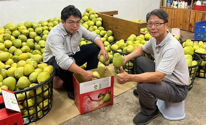 新北市农会今举办文旦柚果品评鑑，新北10区、33选手参赛，由八里区传承3代的红秋果园夺下特等奖，新北市长侯友宜颁奖勉励。（蔡雯如摄）