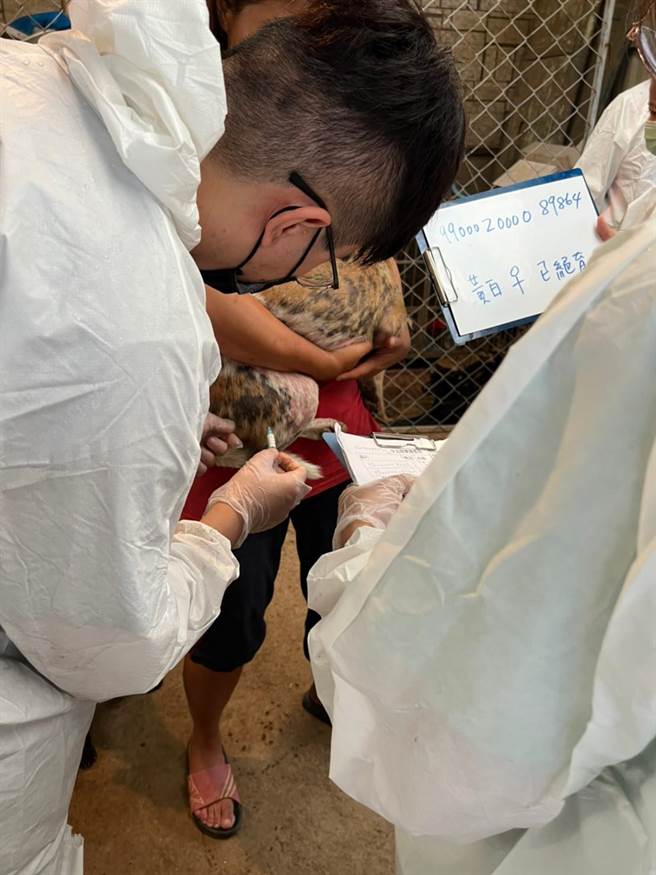 动保处採现地治疗、分区饲养为原则处置园内犬只。（动保处提供／蔡明亘桃园传真）