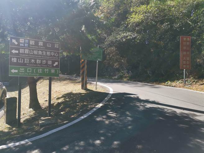 苗栗县泰安乡观雾国家森林游乐区拥有多条森林步道。（谢明俊摄）