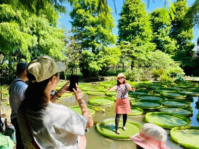桃园市观旅局指出，中秋连假桃园旅宿业订房率有4成，辖内也有各式活动欢迎民眾造访各区景点。（观旅局提供／吕筱蝉桃园传真）