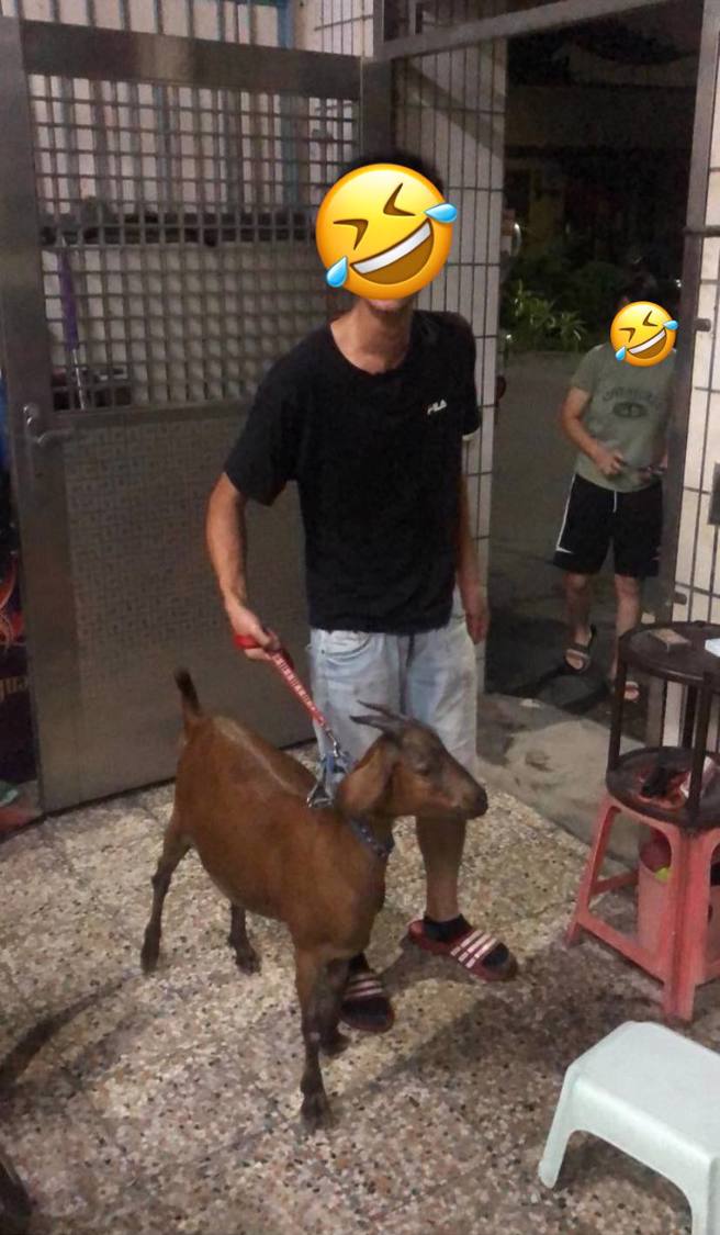 网友烤肉时被小羊闯进门，只好先拿牵绳控制住小羊。（翻摄自爆废公社公开版脸书）