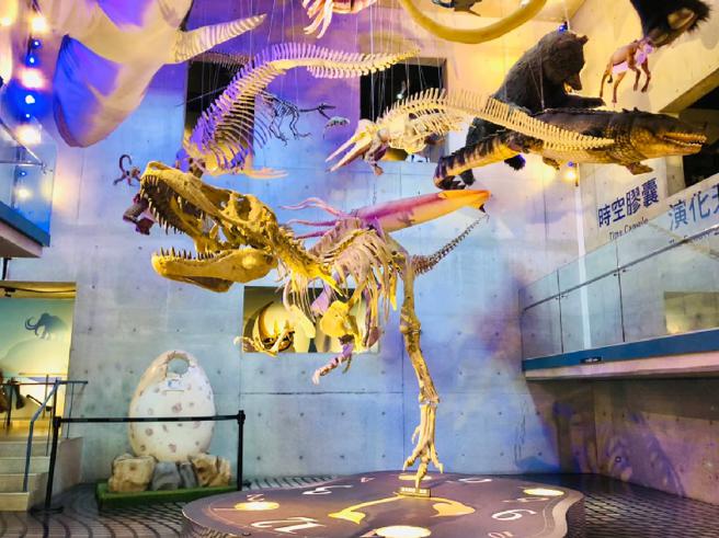 台湾首座化石博物馆「左镇化石园区」。（易游网提供）