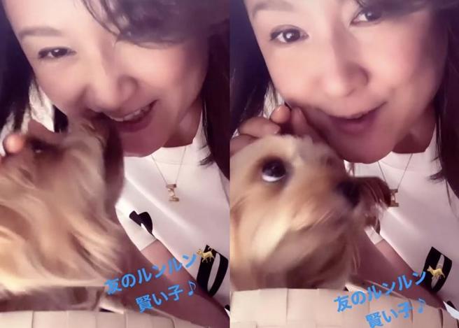 藤原纪香素顏抱宠物。（图／norika.fujiwara.official）