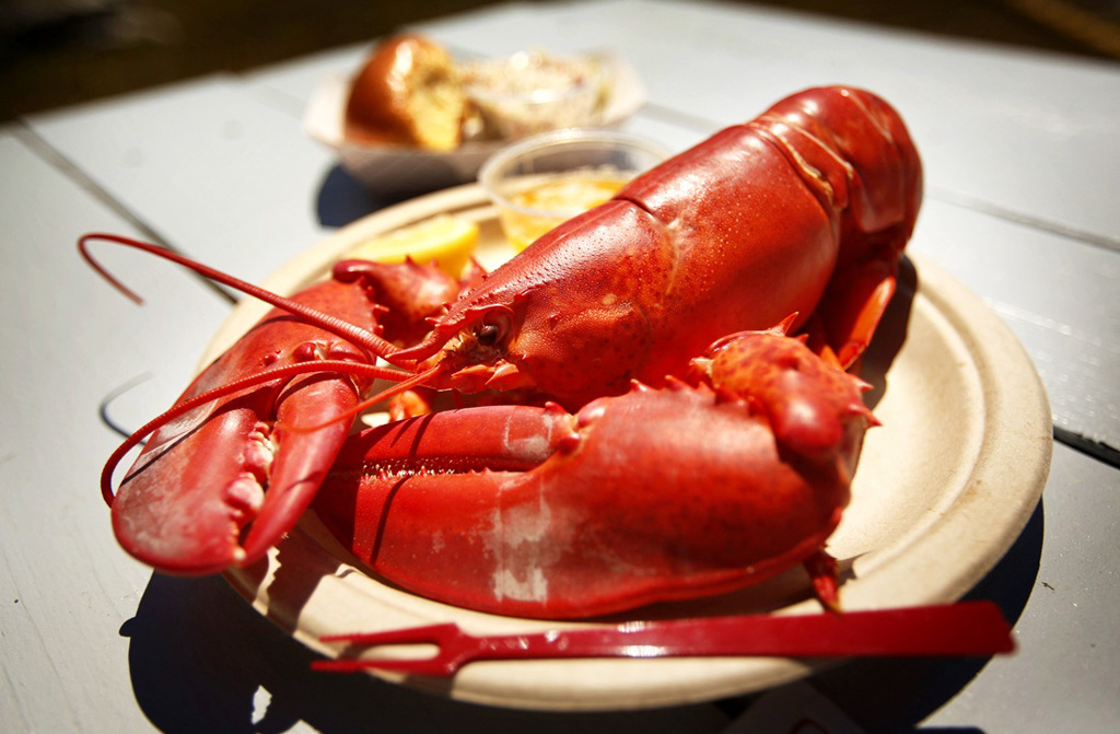 美国加州蒙特瑞湾水族馆5日将东岸新英格兰地区出产的龙虾及部分其他海洋生物列为建议「避免」的海鲜。（资料照／美联社）(photo:ChinaTimes)
