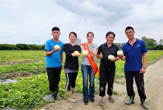 高雄农友林丽华（中）偕同几位农二代成立祥鹤合作社，成为全国最大香瓜产销履歷集团，一年产期可达3次的香瓜，为了避免滞销情形，该集团决定透过「大智庄稼」，瞭解出货时各市场收益的比较，妥善市场规划，稳定收益。（林雅惠摄）