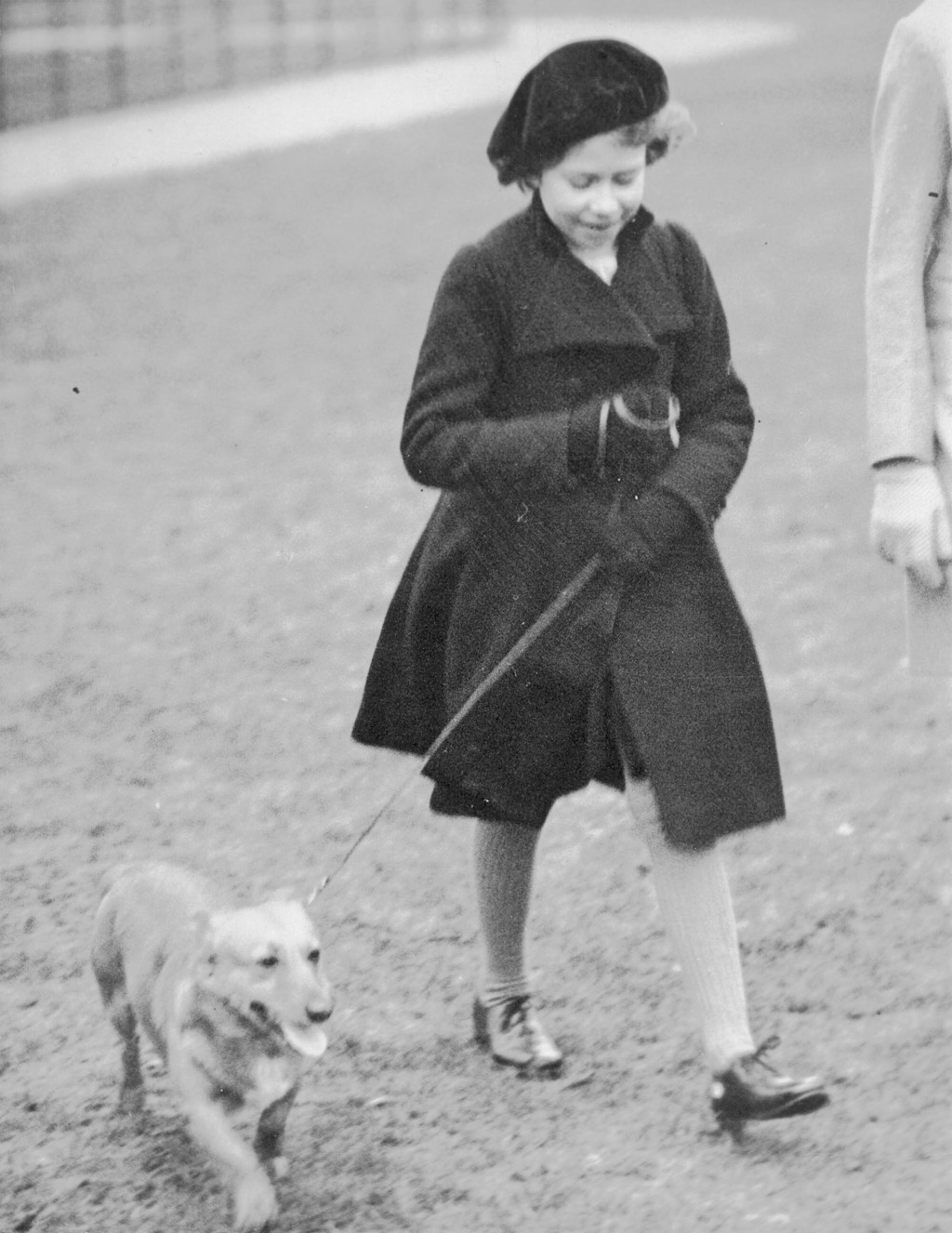 1936 年 2 月 26 日，伊麗莎白公主帶著她的寵物犬在倫敦海德公園散步，眾所周知，伊麗莎白喜歡柯基犬，（美聯社）
