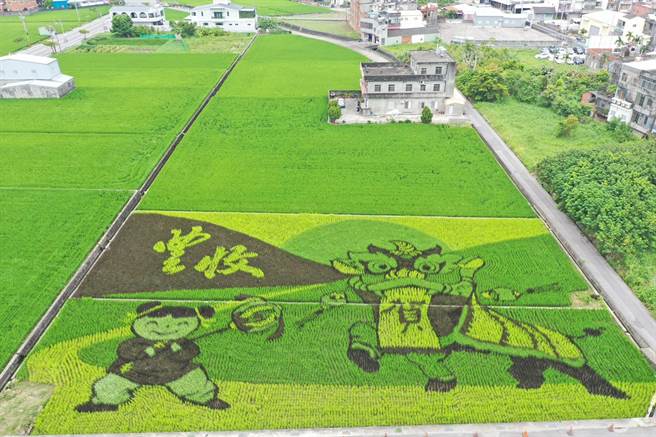 苑里镇农会的彩绘稻田「丰收」。（苑里镇农会提供／谢明俊苗栗传真）