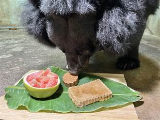 壽山動物園過節特製月餅 「猩」喜若狂打翻桌