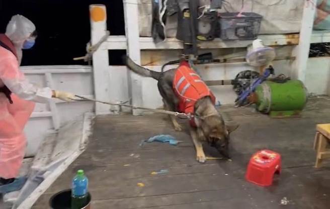 海巡人员与侦搜犬登船检查时，于密舱查获市值约1000万元私菸。（海巡署提供／陈彩玲基隆传真）